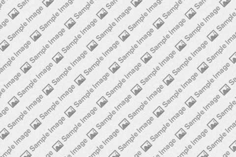 Sample Blog